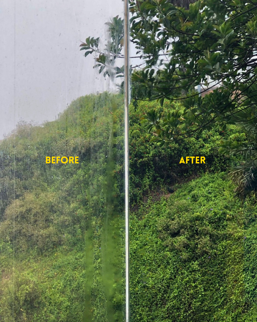 Before and after window cleaning: hazy dirty glass restored to a crystal-clear view