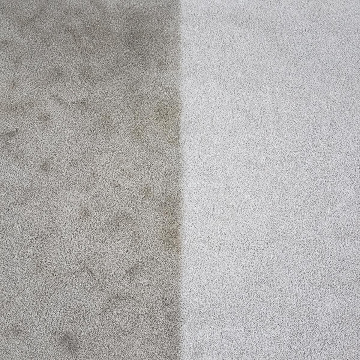 Carpet with a clean line between soiled and freshly cleaned halves